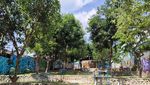 Ini Dia Kafe Hits di Kota Jambi, Sejuk di Tengah Hutan Kota