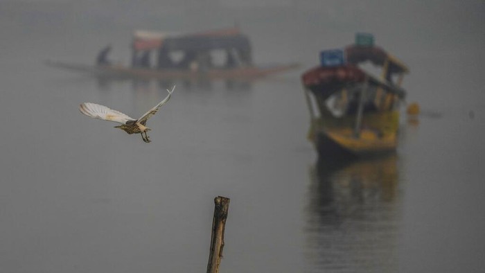 Musim dingin membuat wilayah India diselimuti kabut tebal. Hal ini mengakibatkan beberapa transportasi sedikit terhalang oleh kabut.