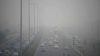 Pemandangan di jalan tol Delhi-Gurugram, India yang diselimuti oleh kabut, Rabu (21/12/2022). (Parveen Kumar/Getty Images)