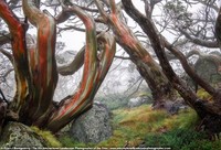 International Landscape Photographer of the Year Awards 2022