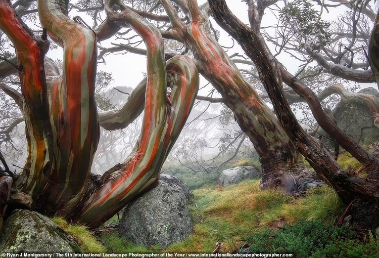 International Landscape Photographer of the Year Awards 2022