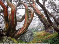 Bak di Negeri Dongeng, Karya Jawara Foto Landscape Memanjakan Mata