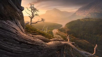 Gambar yang dapat pujian juri ini karya ose D. Riquelme tentang tiara bintang di atas bukit pasir dan pepohonan Namibia Foto: International Landscape Photographer of the Year Awards