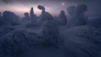 Gambar luar biasa ini, diambil di Gunung Nishi-Agatsuma di Jepang, membuat fotografer Jepang Koki Dote mendapatkan Penghargaan Salju & Es  Foto: International Landscape Photographer of the Year Awards