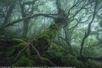 International Landscape Photographer of the Year Awards 2022