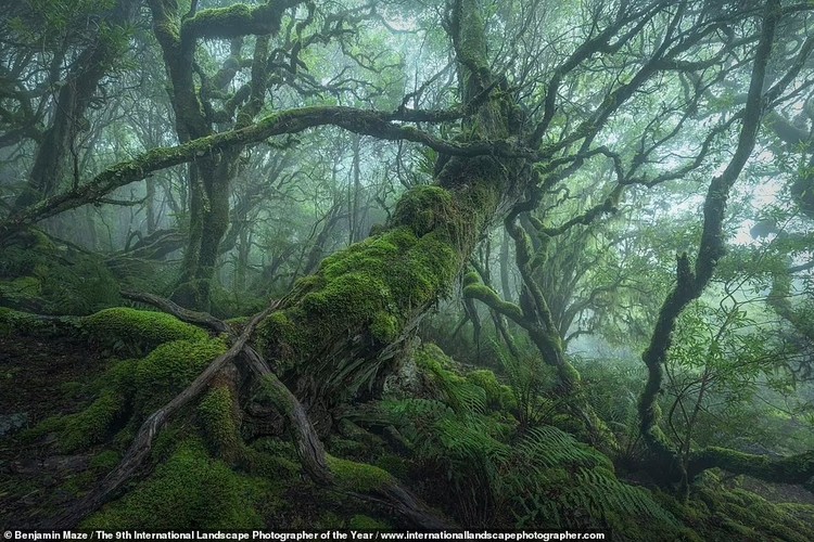 International Landscape Photographer of the Year Awards 2022