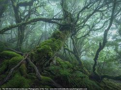 Bak di Negeri Dongeng, Karya Jawara Foto Landscape Memanjakan Mata