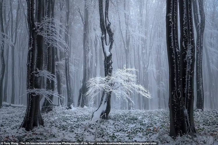 International Landscape Photographer of the Year Awards 2022