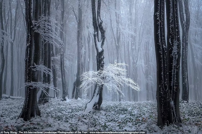 International Landscape Photographer of the Year Awards 2022