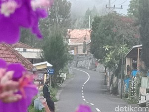 Waspada Titik Rawan Kecelakaan Jalur Wisata Gunung Bromo saat Nataru