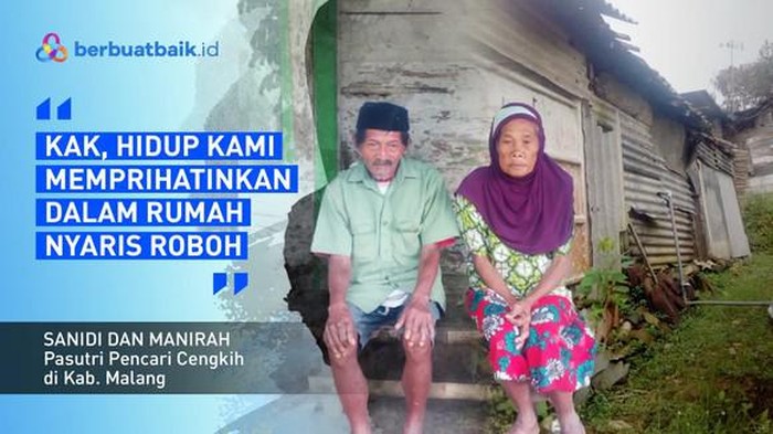 Sanidi (73) menderita asam urat sehingga tidak bisa bekerja. Akhirnya, sang istri, Manirah (63) mencari nafkah dengan memungut cengkih. Mari bantu mereka.