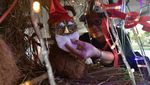 Nggak Biasa, Deretan Pohon Natal Ini dari Bambu hingga Botol Plastik