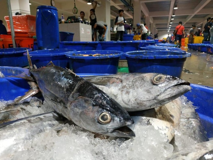 Pasar Ikan Stok ikan PT Perikanan Indonesia yang tersimpan dalam cold storage yang tersebar di seluruh Indonesia dijamin aman untuk mengantisipasi lonjakan permintaan menjelang akhir tahun.