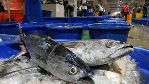 Potret Pasokan Ikan Segar Indonesia Jelang Akhir Tahun