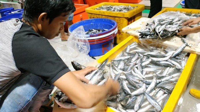 Stok ikan PT Perikanan Indonesia yang tersimpan dalam cold storage yang tersebar di seluruh Indonesia dijamin aman untuk mengantisipasi lonjakan permintaan menjelang akhir tahun.