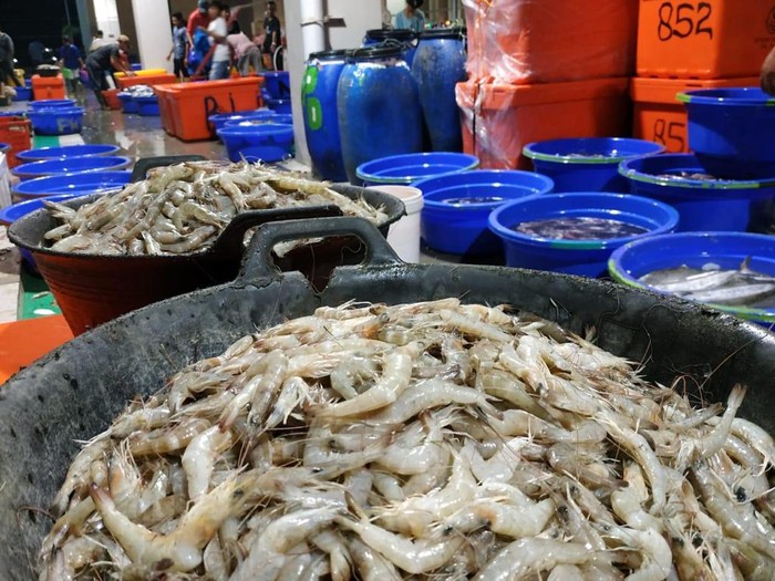 Stok ikan PT Perikanan Indonesia yang tersimpan dalam cold storage yang tersebar di seluruh Indonesia dijamin aman untuk mengantisipasi lonjakan permintaan menjelang akhir tahun.