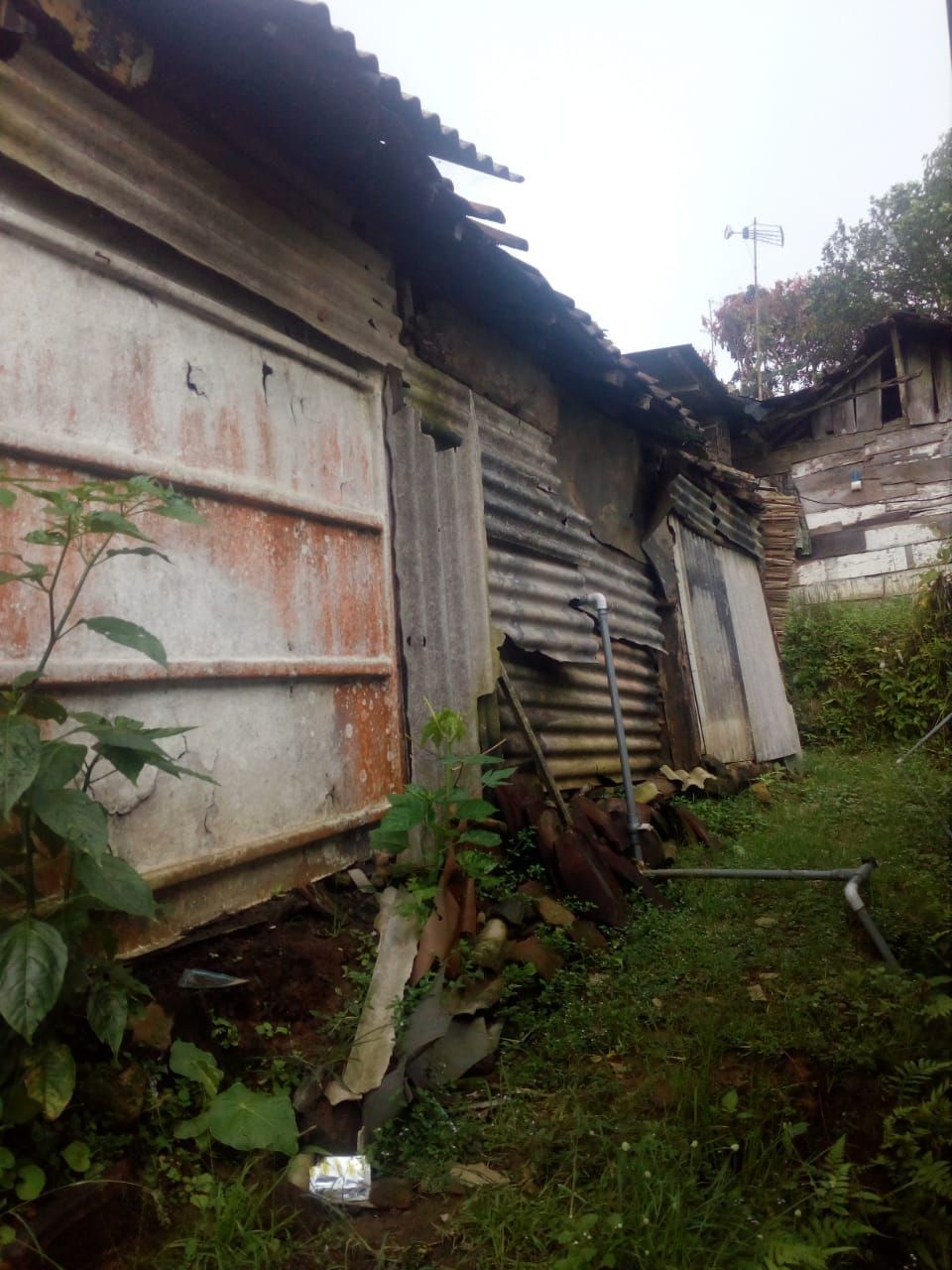 Pasutri Lansia Hidup Prihatin dari Memunguti Cengkih dan Tinggal di Rumah Nyaris Roboh. (Dok.berbuatbaik.id)