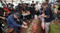 Keluarga dan kerabat menaburkan bunga di atas makam Aminah Cendrakasih. Foto: Palevi/detikcom