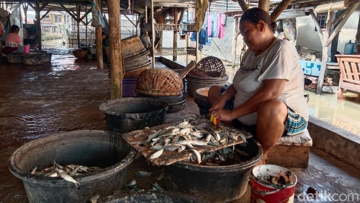 Pengolahan ikan tembang menjadi ikan manis.