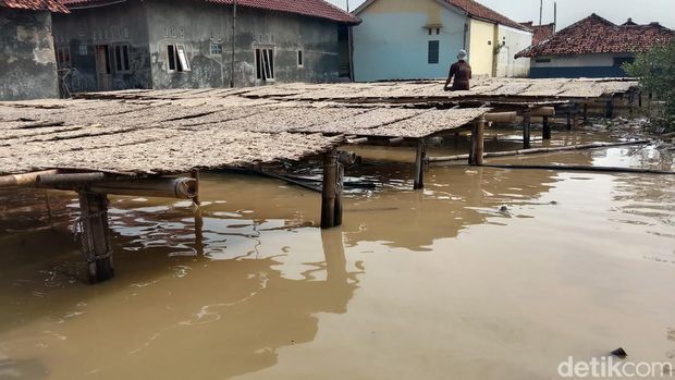 Pengolahan ikan tembang menjadi ikan manis.