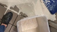 Bertugas mengisi persediaan milkshake saat pagi hari, pekerja ini masuk belum fokus. Dirinya menumpahkan sekotak milkshake penuh di dapur yang bersih. Foto: Brightside