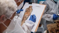 Sejak 2 sarkofagus itu ditemukan pada awal tahun 2022, penelitian digelar untuk mengungkap identitas tentang siapa yang dimakamkan di dalamnya. Penelitian digelar oleh National Institute of Preventive Archaeological Research (INRAP) dan Rumah Sakit Universitas Toulouse. (Foto: Denis Glicksman/INRAP)