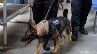 Gegana dan K-9 berkeliling ke setiap sudut gereja.