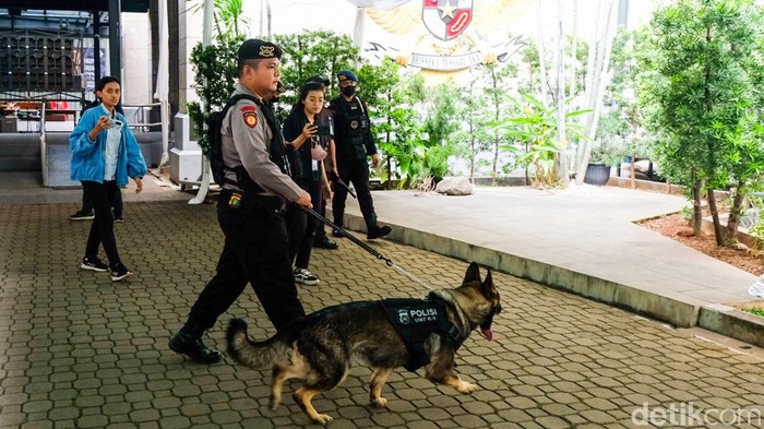 Anjing K9 dan Gegana Sisir Gereja Katedral Jelang Natal Anjing K-9 dan Gegana menyisir area Gereja Katedral, Jakarta menjelang Natal. Penyisiran dilakukan untuk memastikan keamanan gereja.