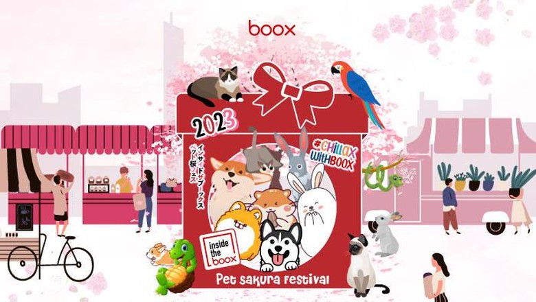 Boox Boox