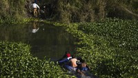 Jutaan migran berusaha untuk menembus perbatasan Meksiko untuk tiba di Amerika Serikat.  