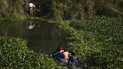 Perjuangan Migran Venezuela Sebrangi Rawa Demi Sampai AS