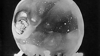 Ledakan Nuklir instan yang Direkam Oleh Kamera Rapatronic Harold Edgerton Dengan Kecepatan Rana Seperseratus Juta Detik. Sekitar tahun 1950-an Foto: via Demilked