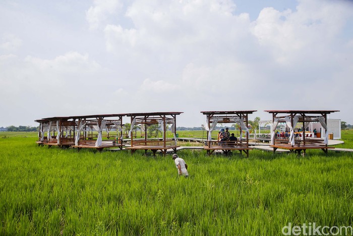 detikTravel berkesempatan mengunjungi Guler Farm Nature, Rabu (21/12/2022). Guler Farm Nature merupakan destinasi indah untuk dinikmati  yang berada di dekat ibu kota Jakarta dan tengah viral.