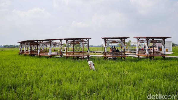 Perpaduan semilir angin, hijau hamparan sawah, serta makanan dan minuman tradisional, membuat Guler Farm Nature ini menjadi tempat yang cocok banget buat healing bagi orang-orang perkotaan. Perpaduan semilir angin, hijau hamparan sawah, serta makanan dan minuman tradisional, membuat Guler Farm Nature ini menjadi tempat yang cocok banget buat healing bagi orang-orang perkotaan.