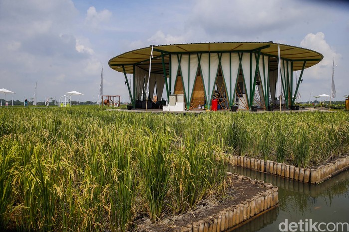 detikTravel berkesempatan mengunjungi Guler Farm Nature, Rabu (21/12/2022). Guler Farm Nature merupakan destinasi indah untuk dinikmati  yang berada di dekat ibu kota Jakarta dan tengah viral.