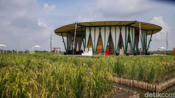 Selain spot foto yang menarik, di sini pun tersedia coffee shop yang terletak di tengah area wisata.