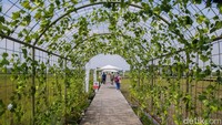 Guler Nature Farm berlokasi tepat di tepi jalan kawasan Gunung Kaler, Kabupaten Tangerang.