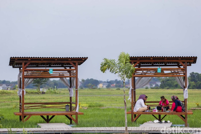 detikTravel berkesempatan mengunjungi Guler Farm Nature, Rabu (21/12/2022). Guler Farm Nature merupakan destinasi indah untuk dinikmati  yang berada di dekat ibu kota Jakarta dan tengah viral.