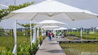 Menurut penuturan Muh Nur Said selaku Manajer Humas dan Social Media Guler Nature Farm, waktu kunjungan terbaik ke sini adalah saat pagi dan sore hari. Pengunjung dapat menikmati sejuknya pemandangan pagi di area persawahan, atau indahnya sunset di area persawahan yang indah.