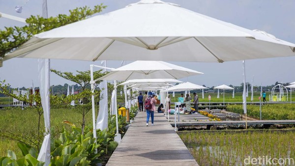Menurut penuturan Muh Nur Said selaku Manajer Humas dan Social Media Guler Nature Farm, waktu kunjungan terbaik ke sini adalah saat pagi dan sore hari. Pengunjung dapat menikmati sejuknya pemandangan pagi di area persawahan, atau indahnya sunset di area persawahan yang indah.