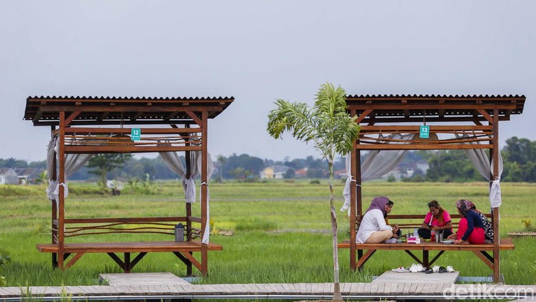 detikTravel berkesempatan mengunjungi Guler Farm Nature, Rabu (21/12/2022). Guler Farm Nature merupakan destinasi indah untuk dinikmati  yang berada di dekat ibu kota Jakarta dan tengah viral.