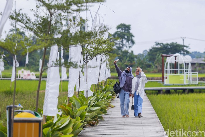 detikTravel berkesempatan mengunjungi Guler Farm Nature, Rabu (21/12/2022). Guler Farm Nature merupakan destinasi indah untuk dinikmati  yang berada di dekat ibu kota Jakarta dan tengah viral.
