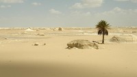 Sementara itu di gurun, udara sangat panas dan kering. Hujan di gurun turun kurang dari 25,4 cm per tahun, kadang malah tidak hujan bertahun-tahun. Suhu siang hari lebih dari 37,8C, tetapi saat malam turun drastis ke -3,8C, seperti dikutip dari Encyclopaedia Britannica. Foto: © Vyacheslav Argenberg/Wikimedia Commons