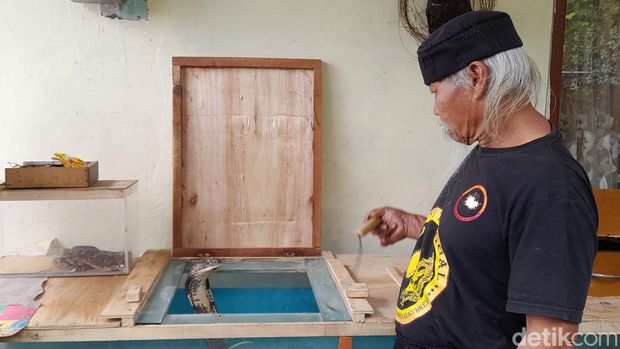 Ki Kebo Kenongo bersama ular peliharaannya.