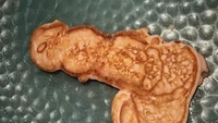 Ingin menyajikan pancake yang enak, kesalahan saat menuang cetakan pancake ini berujung bikin ngakak. Kira-kira ini bentuk apa ya? Foto: Buzzfeed
