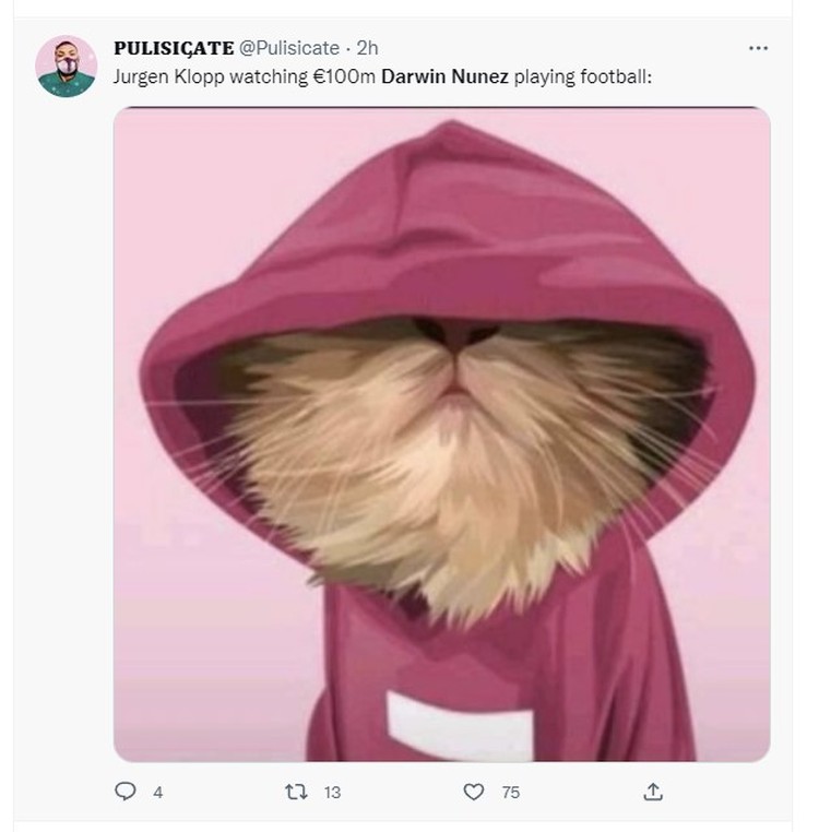 Meme Darwin Nunez