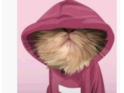 Meme Kocak Darwin Nunez Sia-siakan Peluang Emas Bikin Kesal