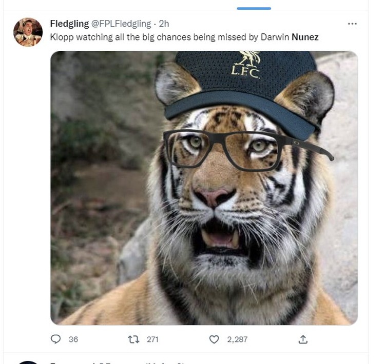 Meme Darwin Nunez