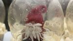 Netizen Pamer 10 Dessert Natal Istimewa, Bentuk Pinus hingga Dinosaurus