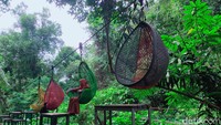 Tiket masuk ke kawasan TNGGP Situ Gunung mulai dari Rp 18.500 per orang. Kemudian masuk ke kawasan Suspension Bridge dikenakan lagi tiket dengan paket Rp 50 ribu, Rp 100 ribu dan Rp 300 ribu tergantung pada fasilitas yang akan dipilih wisatawan. (Foto: Siti Fatimah/detikJabar)